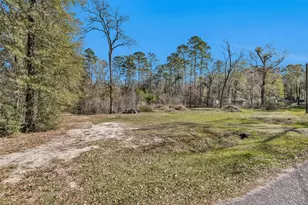 5721 Cessna Dr, Montgomery, TX 77316 - Photo 42