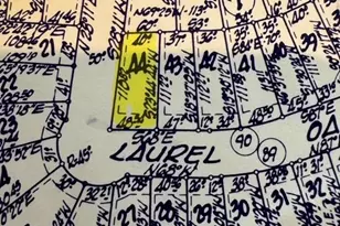 Tbd44 Laurel Oak, Trinity, TX 75862 - Photo 1