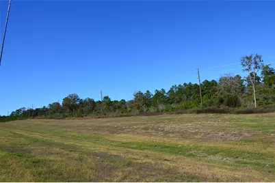 0014 Sh 249, Navasota, TX 77868 - Photo 4