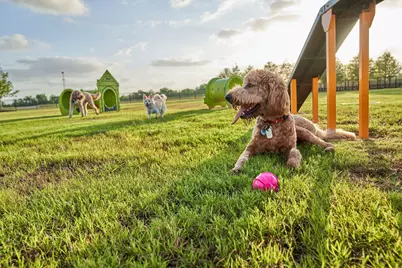 24918 Vervain Meadow Trail, Katy, TX 77493 - Photo 24