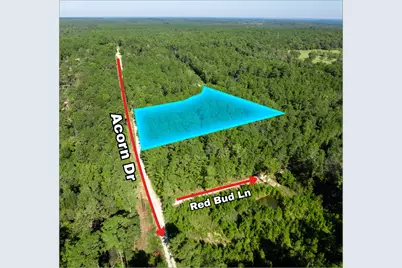 00 Sweetgum Lane, Oakhurst, TX 77359 - Photo 2