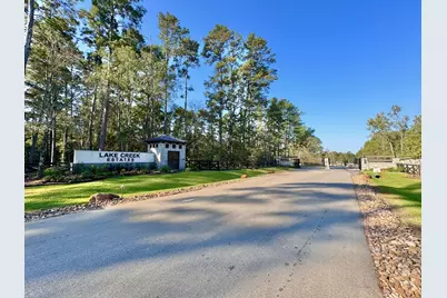 21332 Monarch Drive, Montgomery, TX 77316 - Photo 4