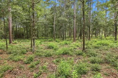 15890 Four Hills Road, Willis, TX 77378 - Photo 4