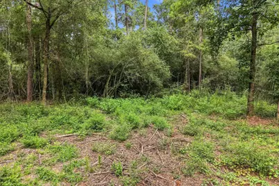 15890 Four Hills Road, Willis, TX 77378 - Photo 12