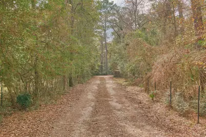 3027 Pine Acres Drive, Conroe, TX 77384 - Photo 6