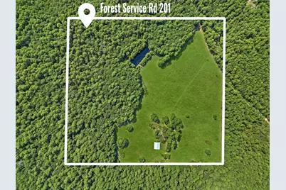 00 Forest Service Road 201, Cleveland, TX 77328 - Photo 8