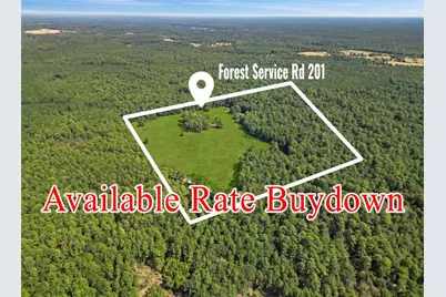 00 Forest Service Road 201, Cleveland, TX 77328 - Photo 1