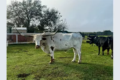 13340 State Highway 172, La Ward, TX 77970 - Photo 8