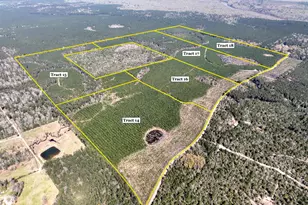 00000 County Rd 4415, Spurger, TX 77660 - Photo 1