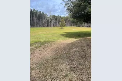 335 Walding Road, Livingston, TX 77351 - Photo 18