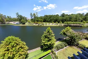 111 Vue Pt Pl, The Woodlands, TX 77380 - Photo 32
