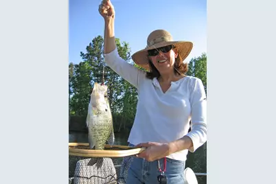 91 Bluejay Way, Cleveland, TX 77327 - Photo 34