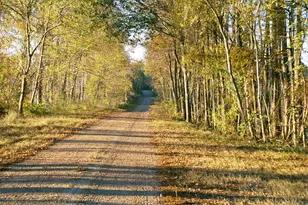 91 Bluejay Way, Cleveland, TX 77327 - Photo 28