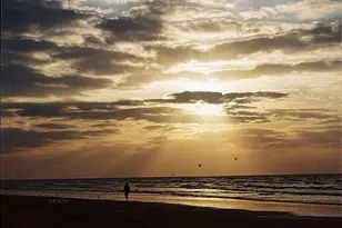 7000 Seawall Blvd, Galveston, TX 77551 - Photo 28