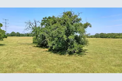 8538 Preservation Way Way, North Zulch, TX 77872 - Photo 6