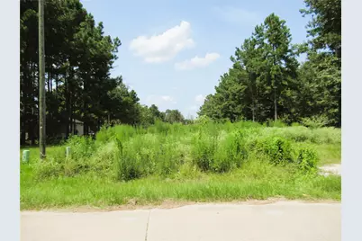 309 County Road 3405, Cleveland, TX 77327 - Photo 2