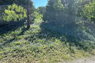 44097 Cedar Hill Dr, Whitney, TX 76692 - Photo 6