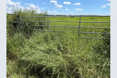 0 County Road 170, Alvin, TX 77511 - Photo 4