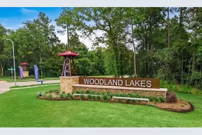 526 Emerald Thicket Lane, Huffman, TX 77336 - Photo 4