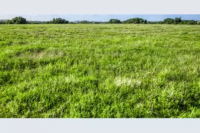 Tract 12 S Nassau Road, Round Top, TX 78954 - Photo 4