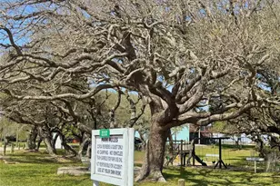 491 Carancahua Dr, Palacios, TX 77465 - Photo 38