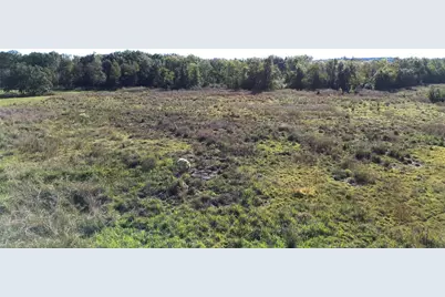 300 Buckhorn Creek Trail, Crockett, TX 75835 - Photo 10