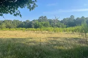 940 Bill Jones Rd, Groveton, TX 75845 - Photo 1