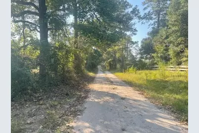 940 Bill Jones Road, Groveton, TX 75845 - Photo 2