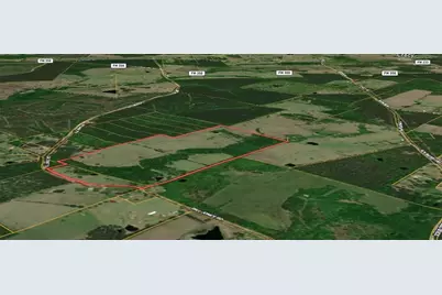 940 Bill Jones Road, Groveton, TX 75845 - Photo 10