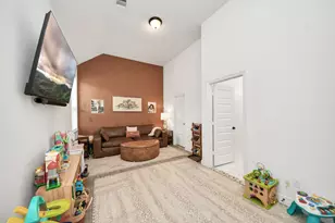 111 Alder Loop, Anahuac, TX 77514 - Photo 46