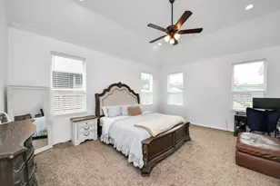 111 Alder Loop, Anahuac, TX 77514 - Photo 30