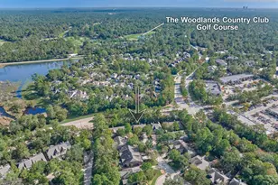 78 Douvaine Ct, The Woodlands, TX 77382 - Photo 38