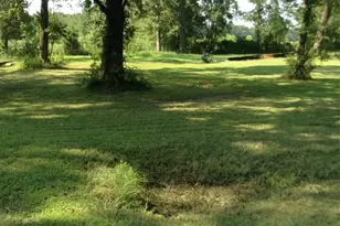 26340 Blackberry Ln, New Caney, TX 77357 - Photo 4