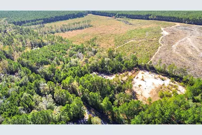 1460 Galahad Loop Road, Woodville, TX 75979 - Photo 8