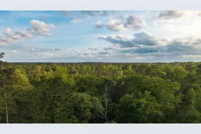 1-7-6 Legacy Grand Road, New Waverly, TX 77358 - Photo 4