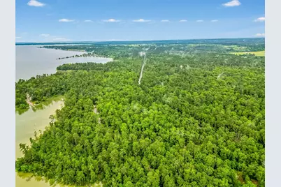 0 Fm 3126, Livingston, TX 77351 - Photo 8