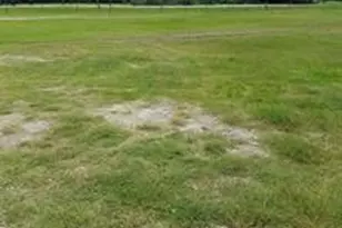 1503 Spur 529, Rosenberg, TX 77471 - Photo 6