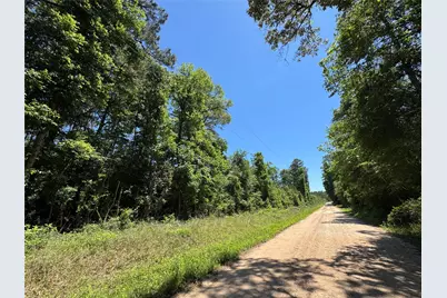 2374 Holly Grove Rd, Livingston, TX 77351 - Photo 4