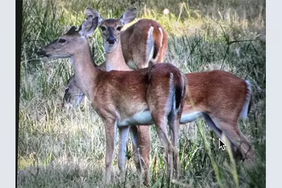 11694 Grand North Road, Willis, TX 77378 - Photo 6