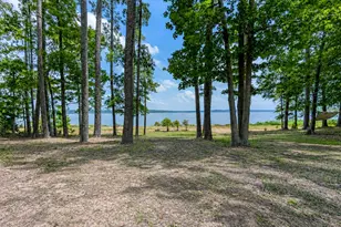 636 Campoli Rd, Etoile, TX 75944 - Photo 24