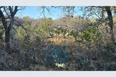 00 County Road 6753, Devine, TX 78016 - Photo 14