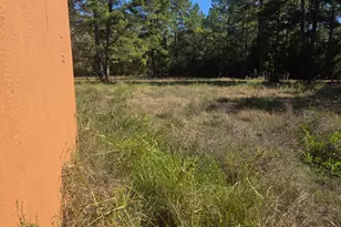 633 Ira Denson Rd, Coldspring, TX 77331 - Photo 24