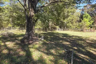 633 Ira Denson Rd, Coldspring, TX 77331 - Photo 8