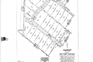 200 Iron Horse Rd, Willis, TX 77378 - Photo 1