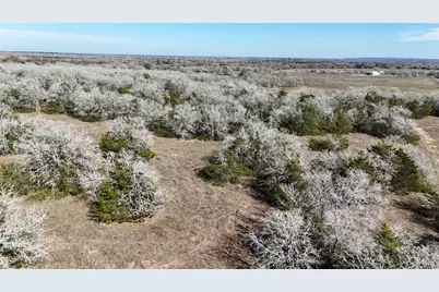 1485 Davis Road, Muldoon, TX 78949 - Photo 8