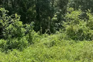 13994 Walker Rd, Conroe, TX 77302 - Photo 4