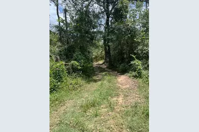 13994 Walker Road, Conroe, TX 77302 - Photo 2