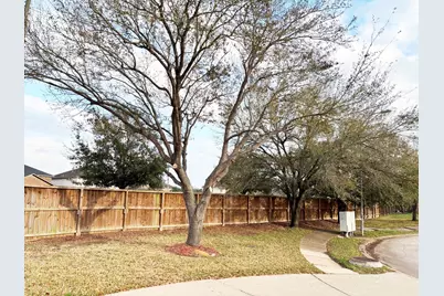 3439 Princeton Point Court, Houston, TX 77047 - Photo 4