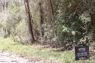 0 Knotty Pine Lane, Huntsville, TX 77340 - Photo 2