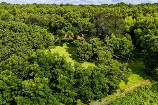 72 Rosebud Ln, Gonzales, TX 78629 - Photo 42